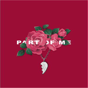 南極洲美女大黑逼
